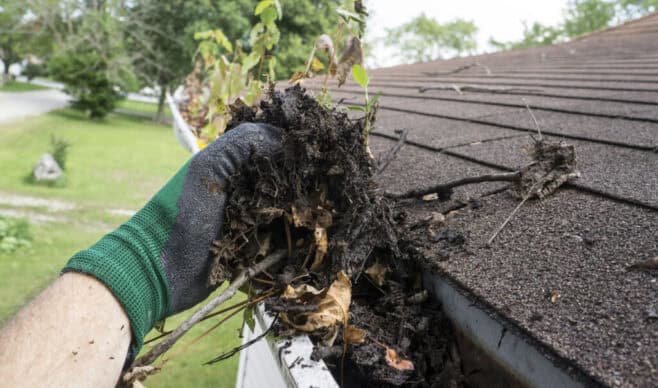 Downspout Clog Removal